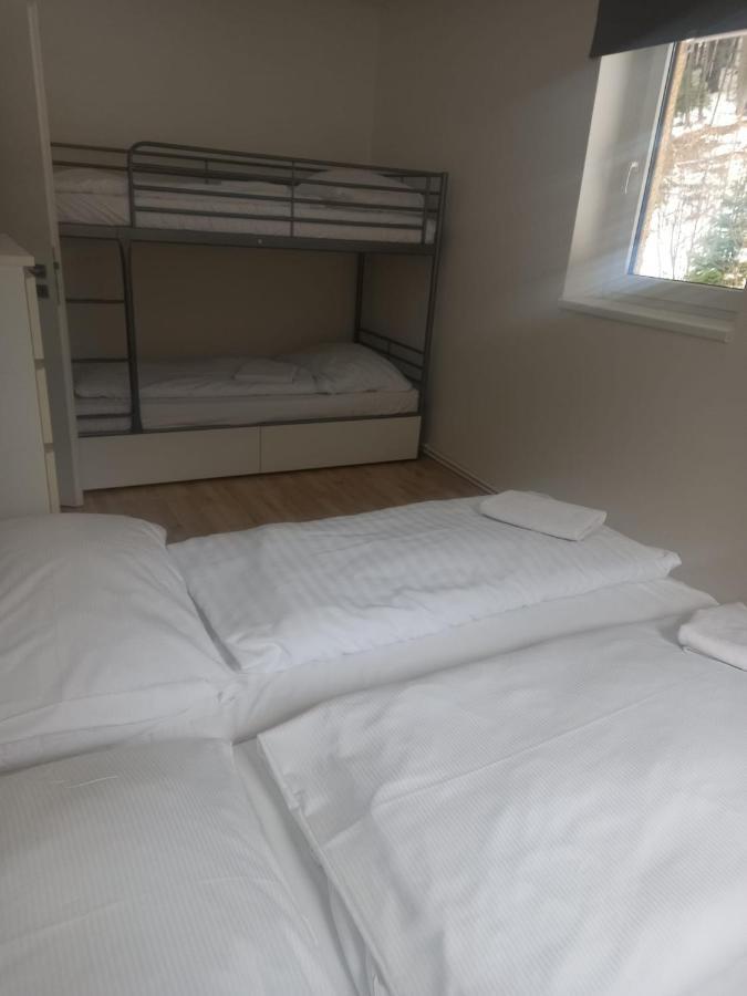 Apartmany Za Sneznikem Dolna Morawa Zewnętrze zdjęcie